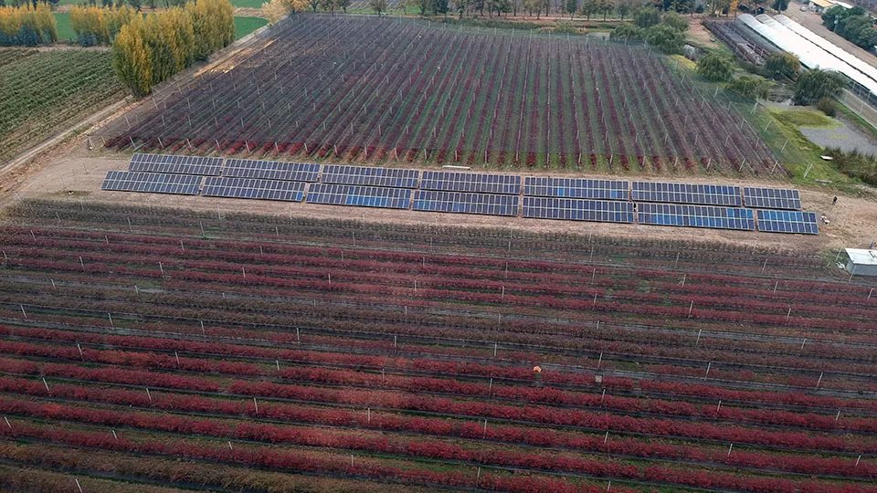 Instalación fotovoltaica — Agrícola Angol