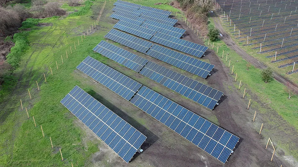 Instalación fotovoltaica — Hortifrut Vega Larga